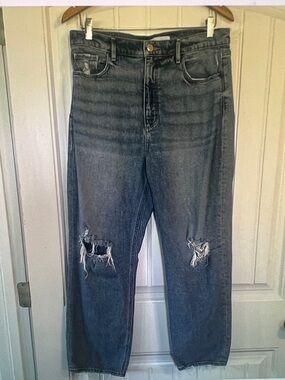 Loft the 90’s High Waist Straight Jeans size 10 or 30